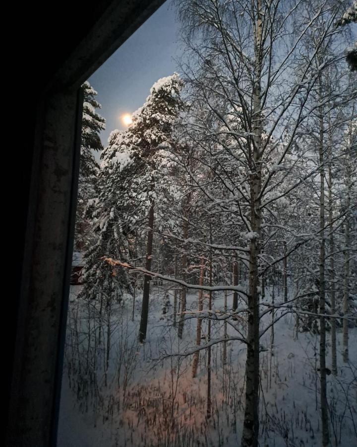Room In Polar Circle Rovaniemi Exteriér fotografie